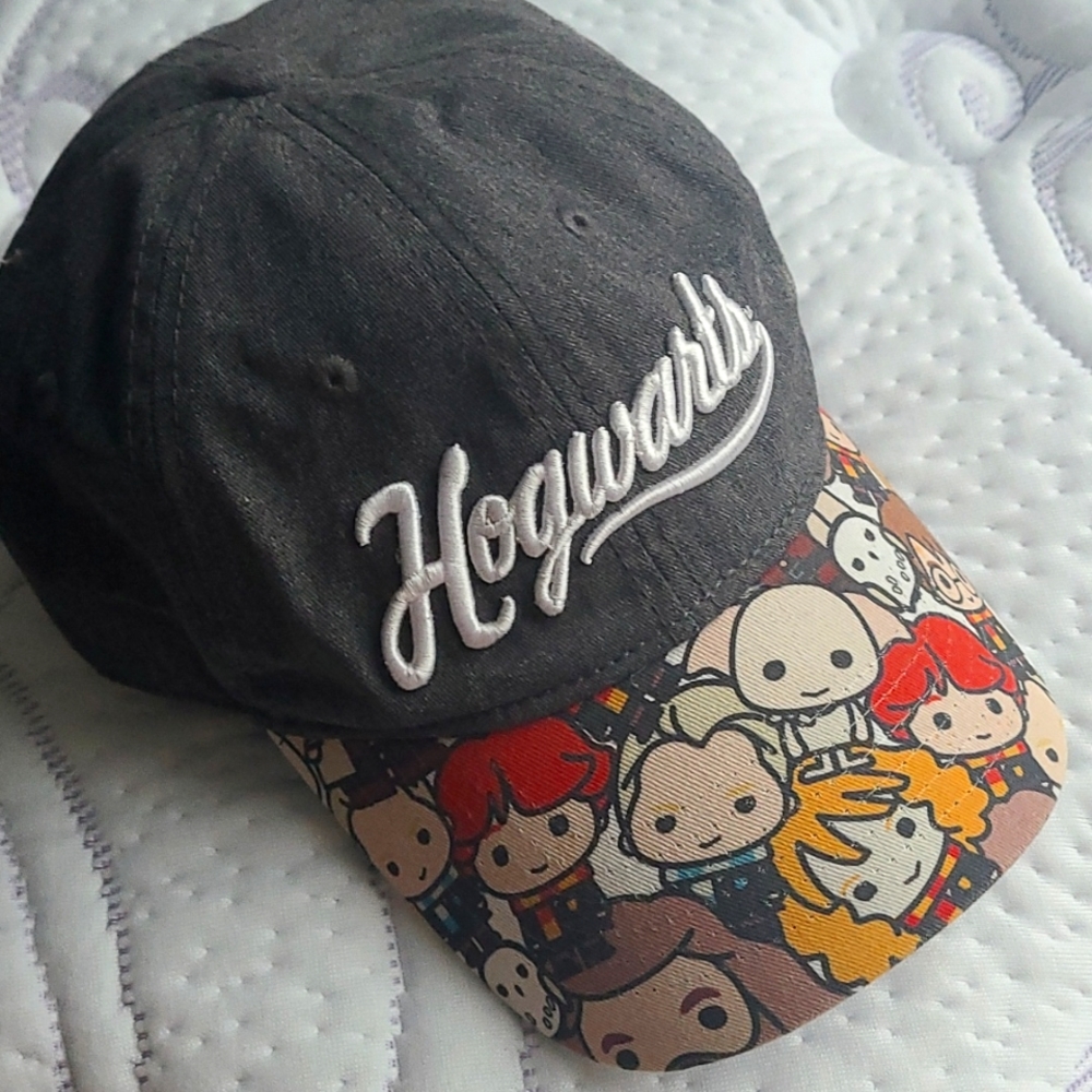 Harry Potter hat